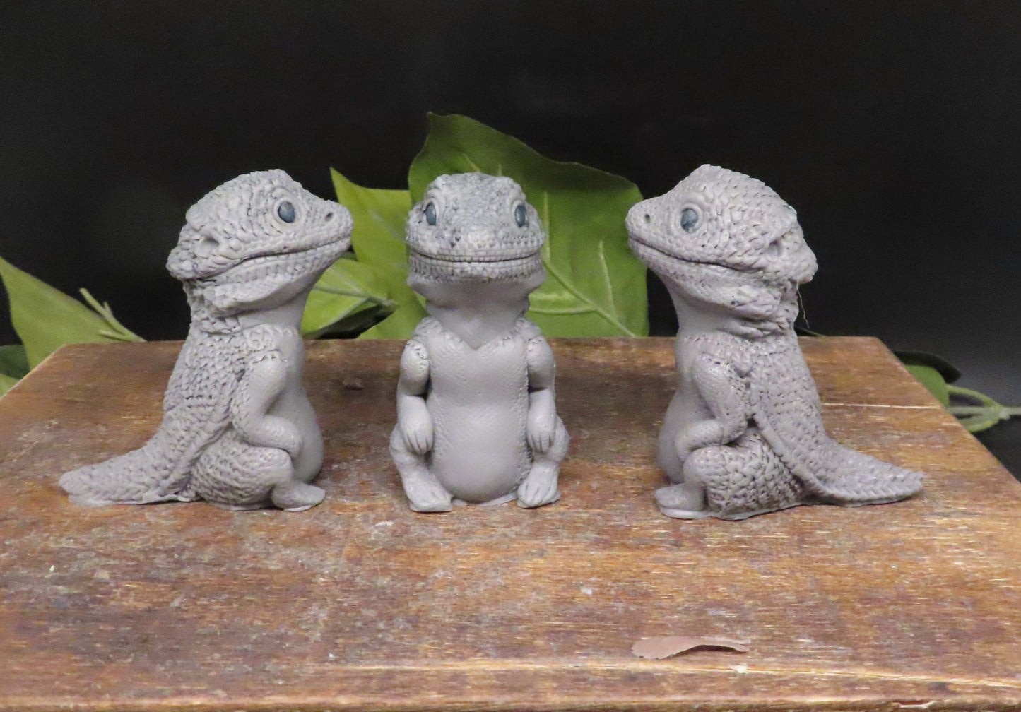 Bearded dragon hand soap