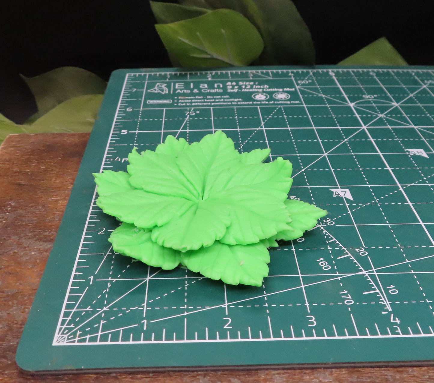 Camelia Leaf Bath Soap