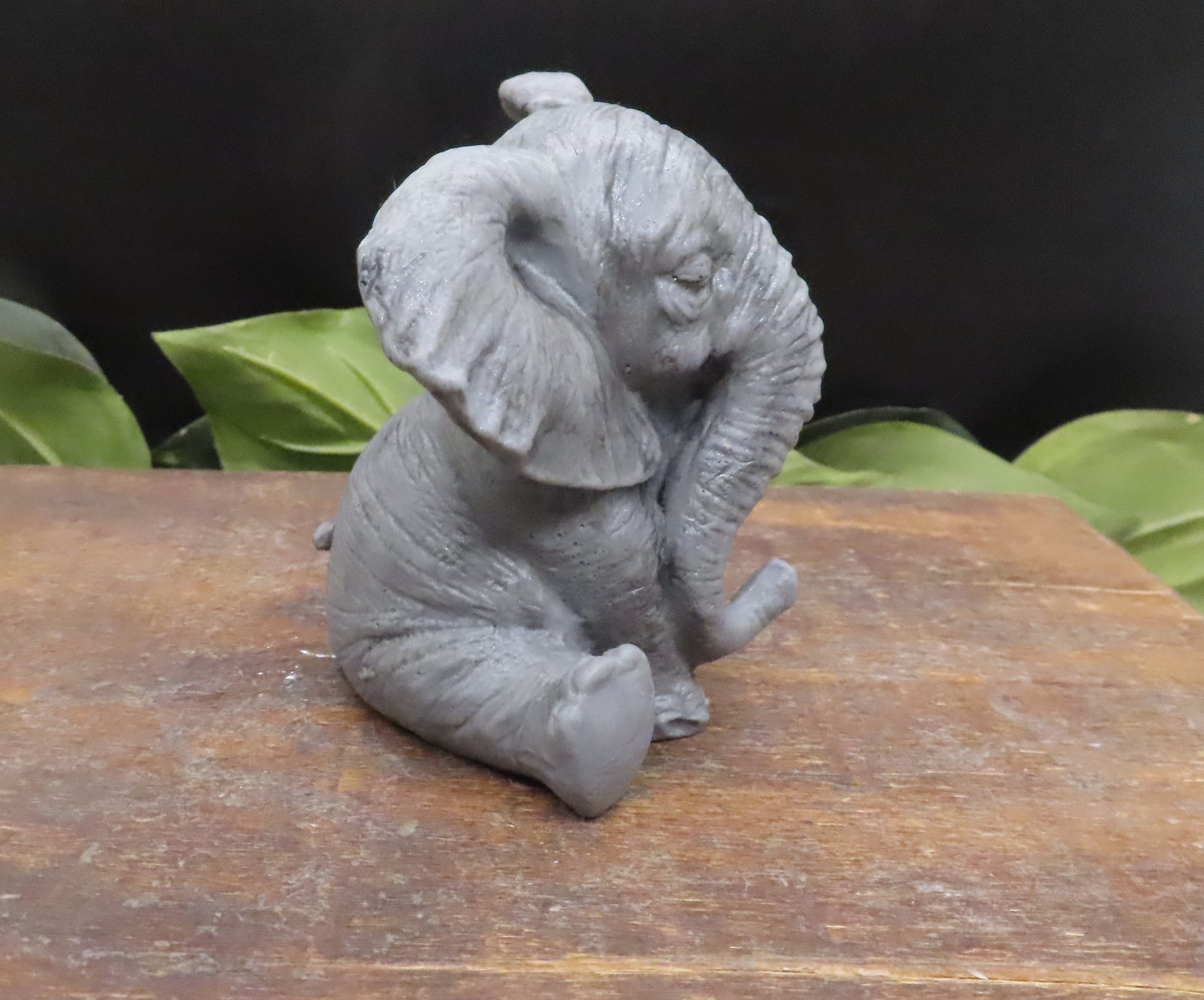 Elephants of wisdom reverse side view