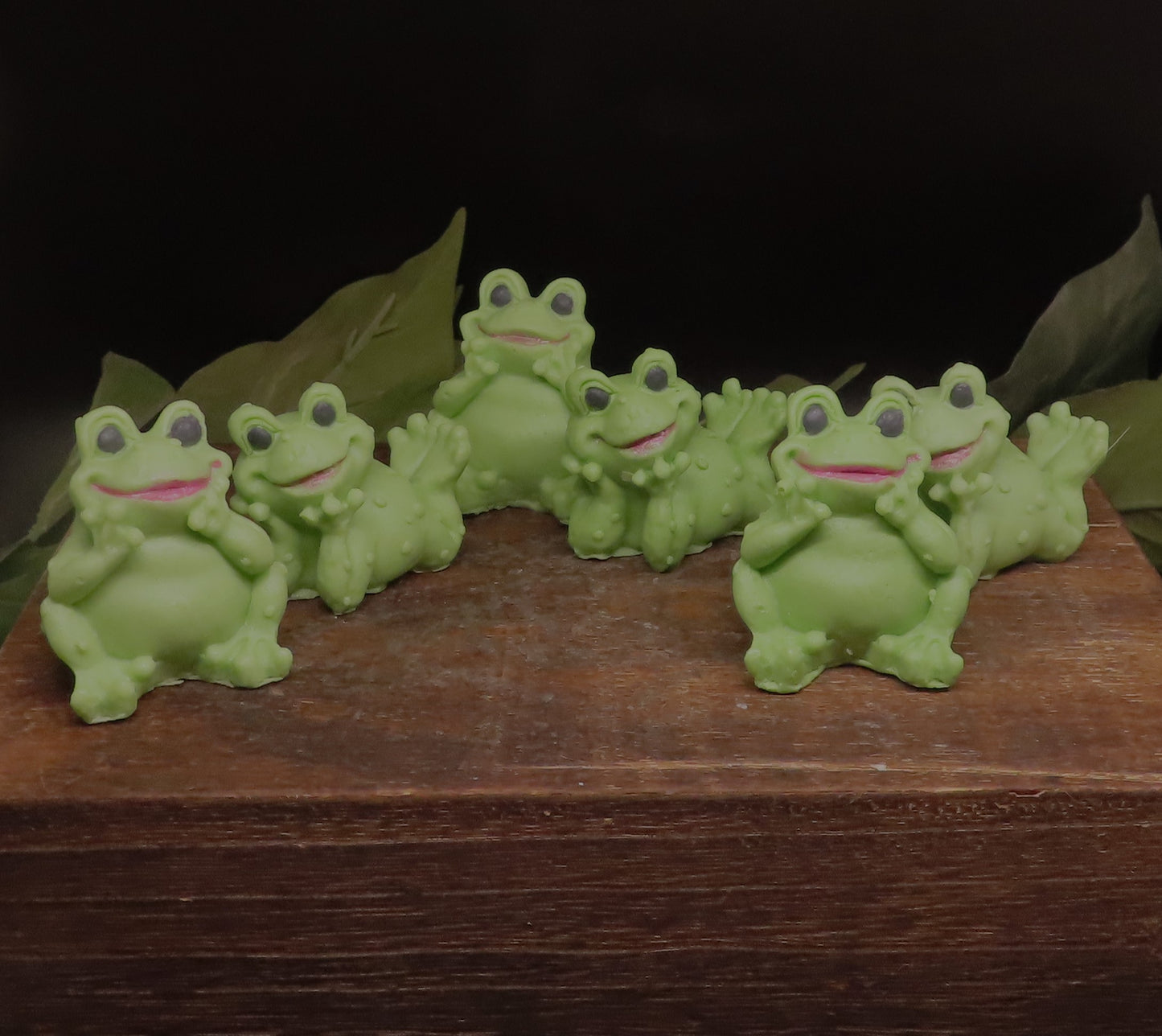 Group of mino frog goat milk soap sets