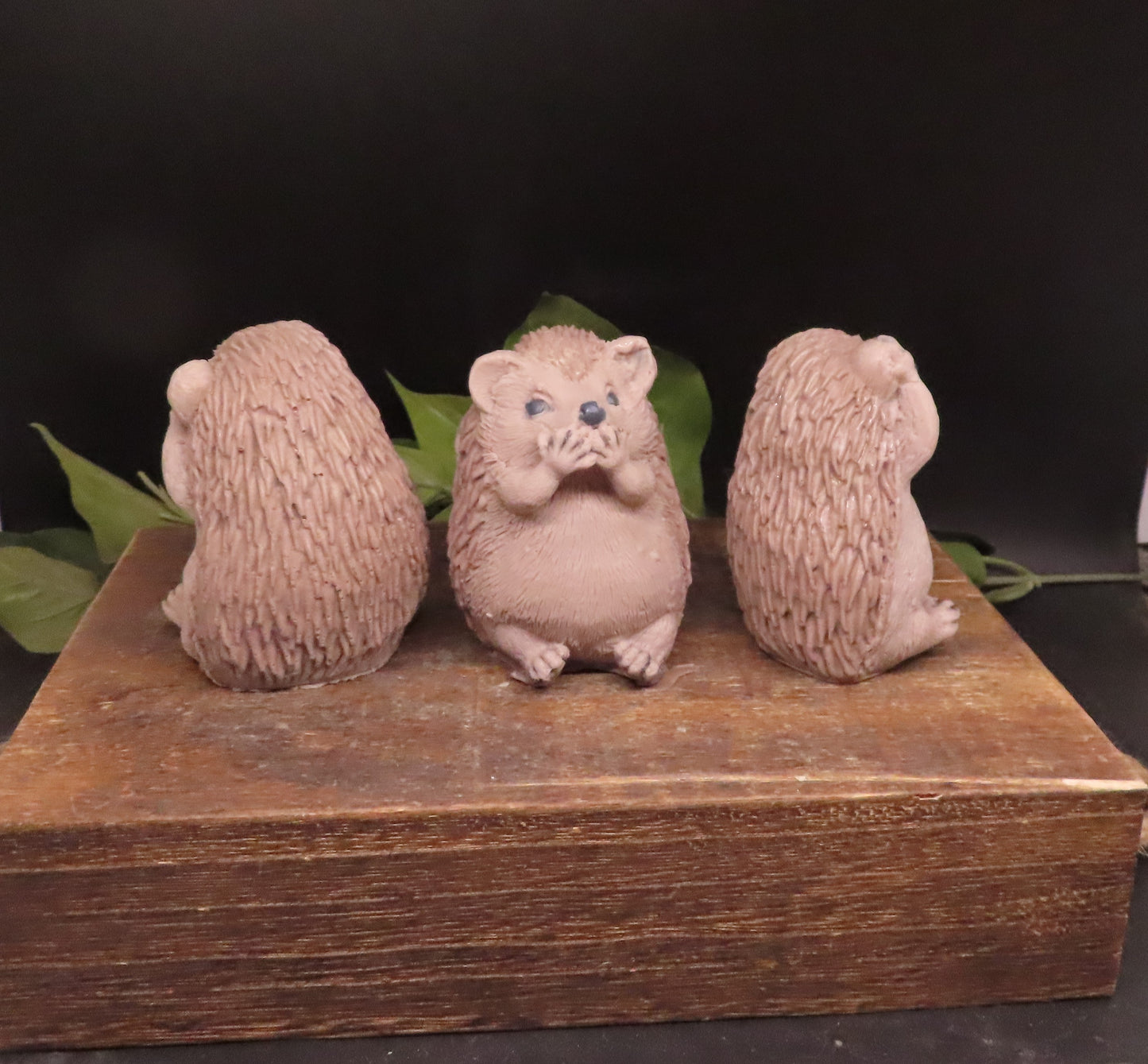 Hedgehogs of Wisdom Bath Soap Set