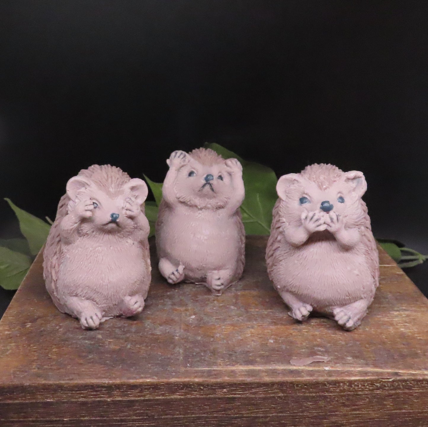 Hedgehogs of Wisdom Soap Set