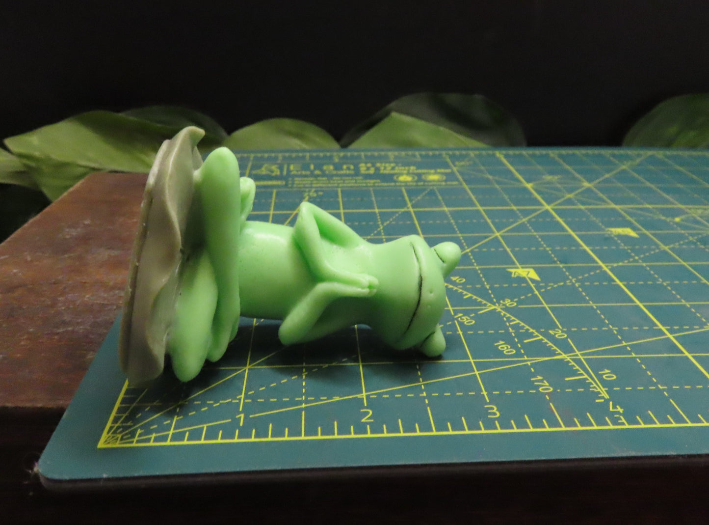 Yoga Frog Soap Set #1