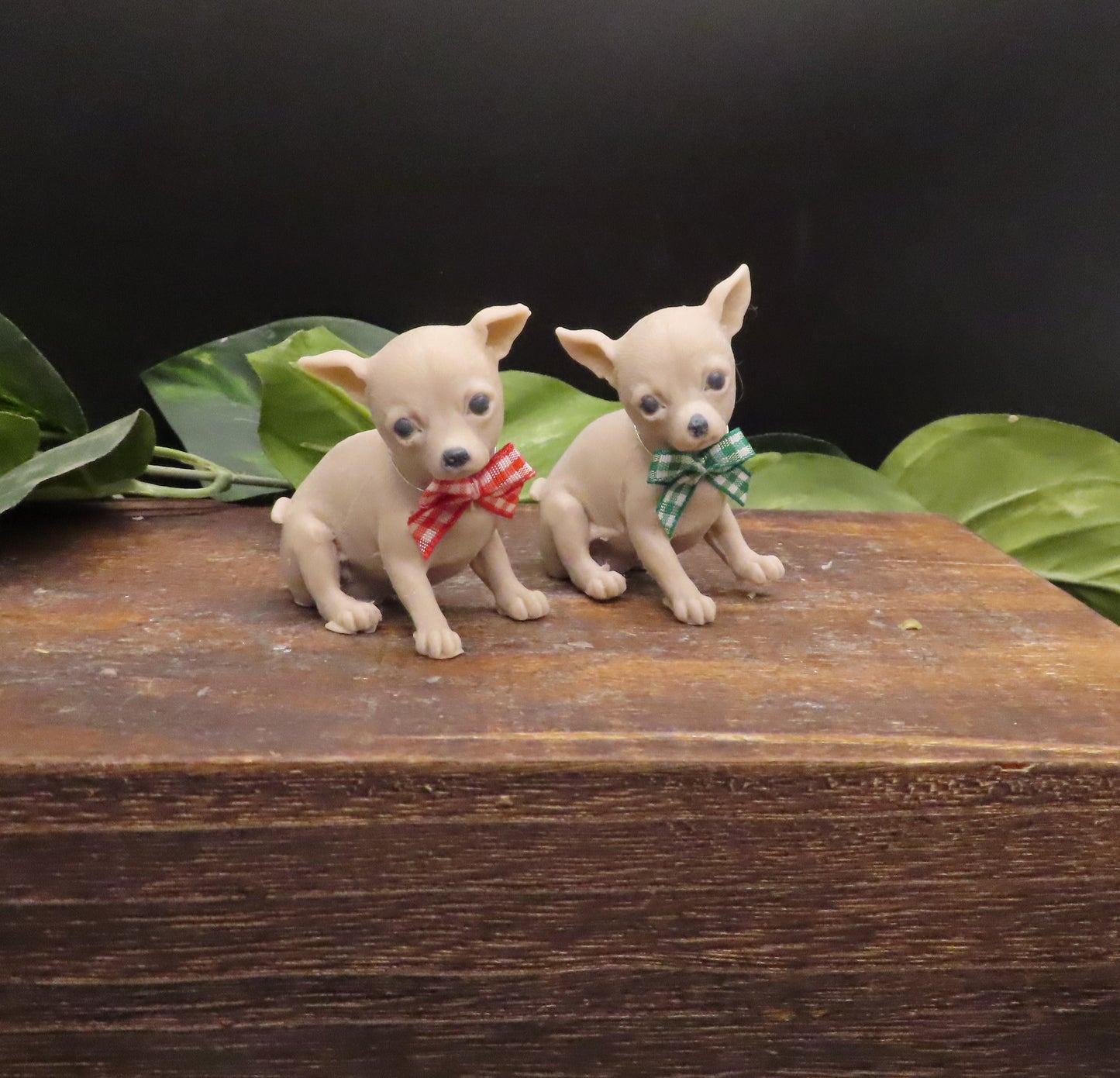 Chihuahua gift