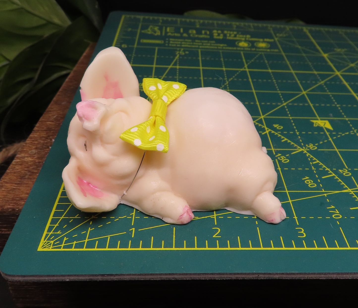 Yet Another Pig That Will Make You Re-Think Pork!