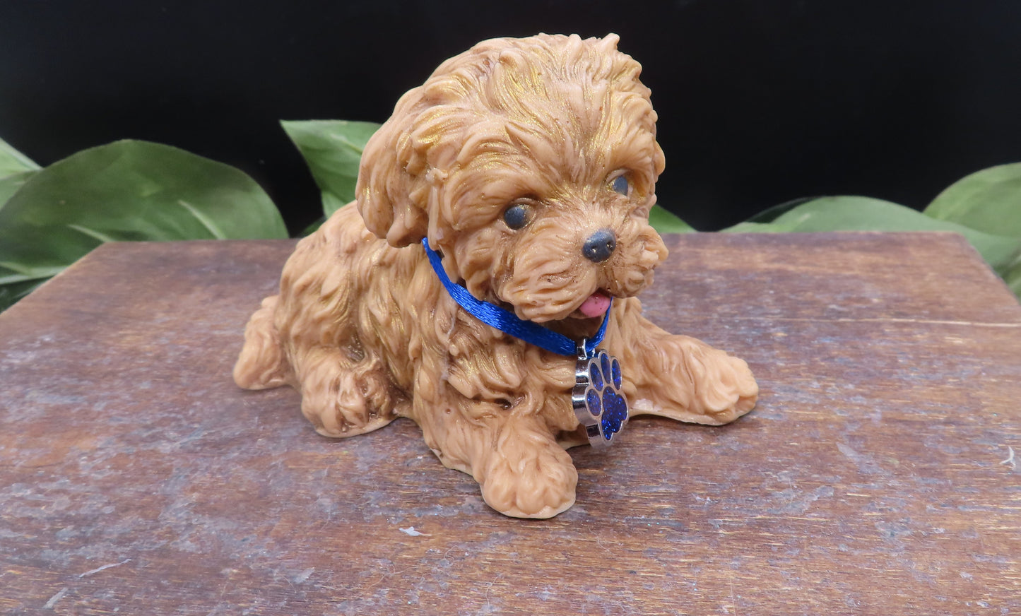 Brown Lhasa or Shih tzu handmade goat milk soap