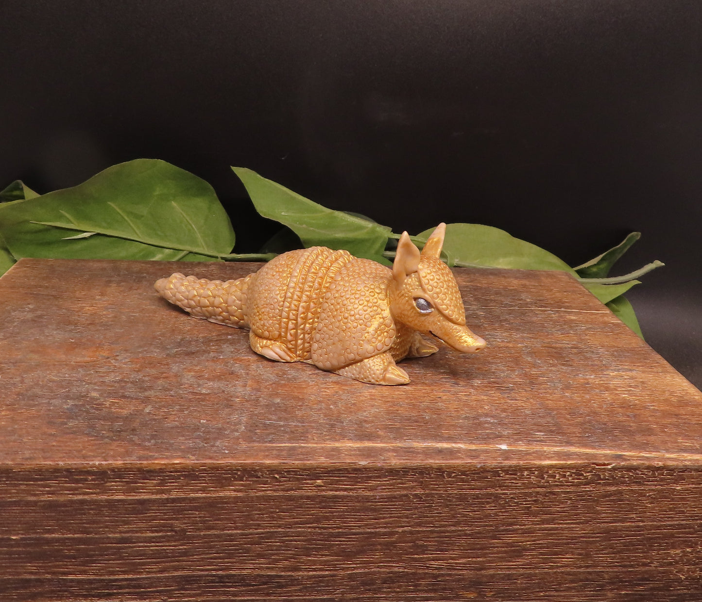 Armadillo Soap