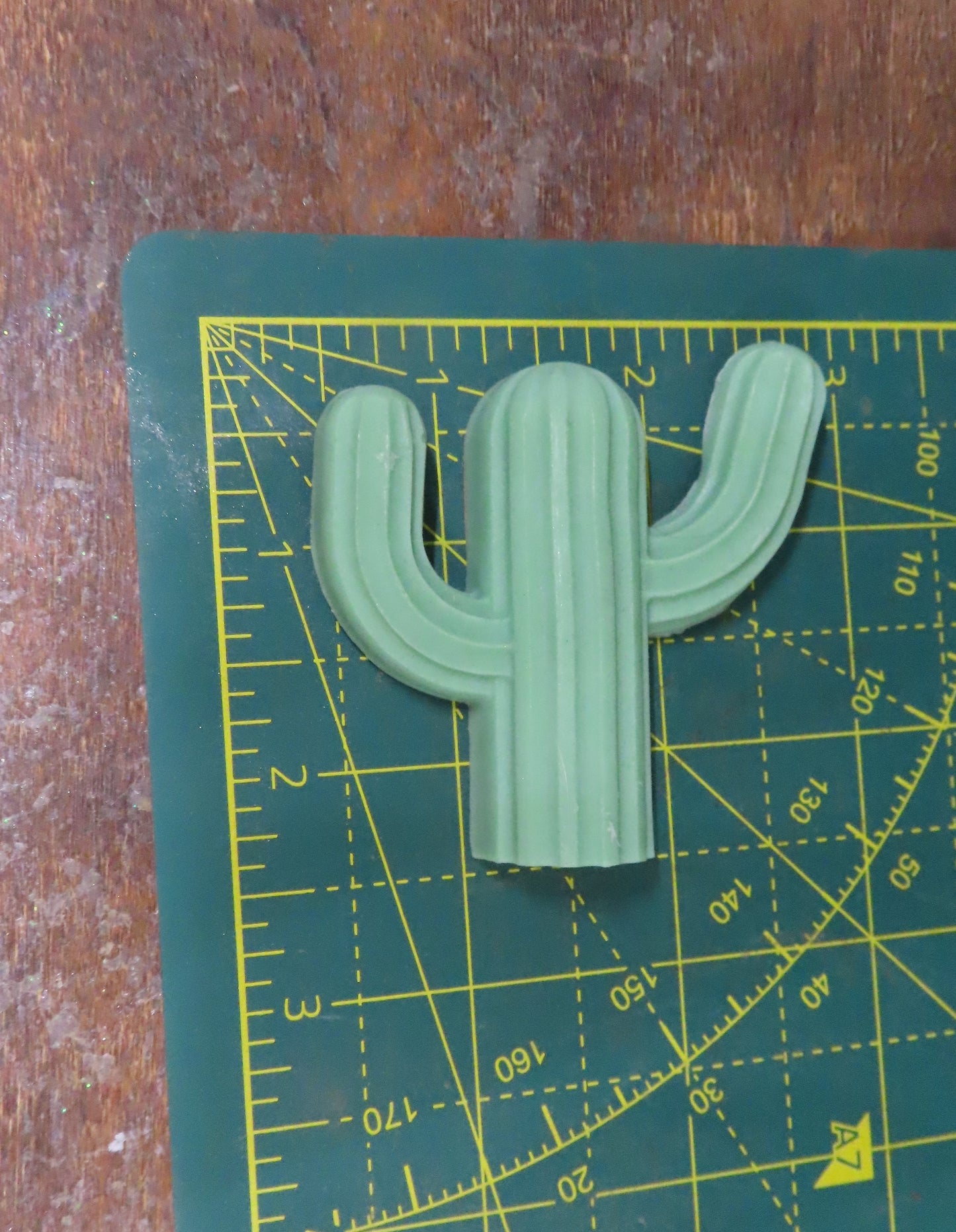 4 piece handmade saguaro cactus goat milk soap set