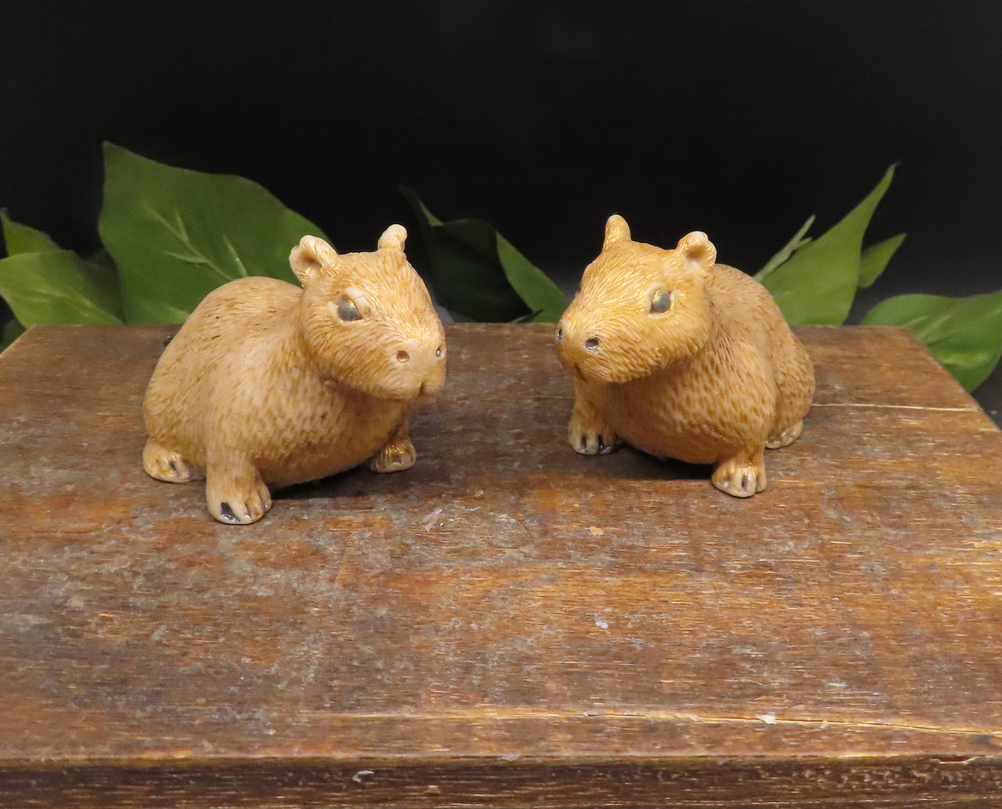 Capybara Soap