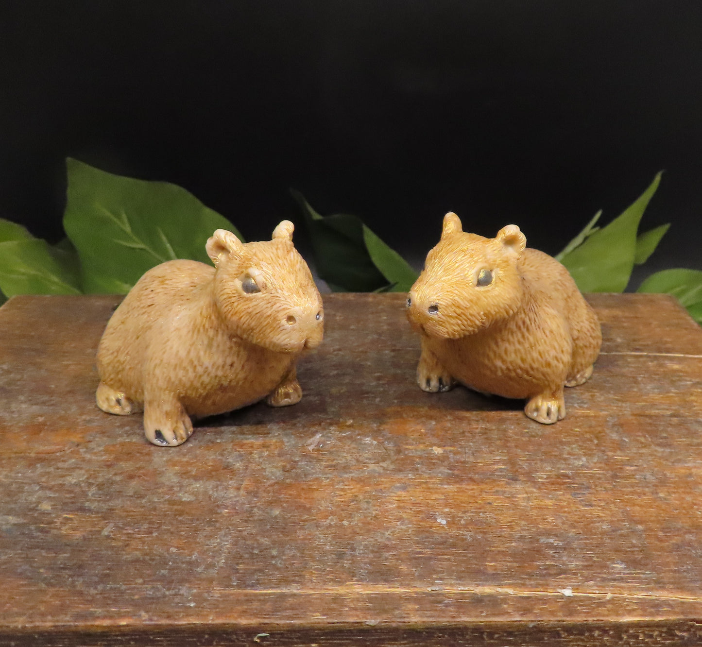 Capybara Soap