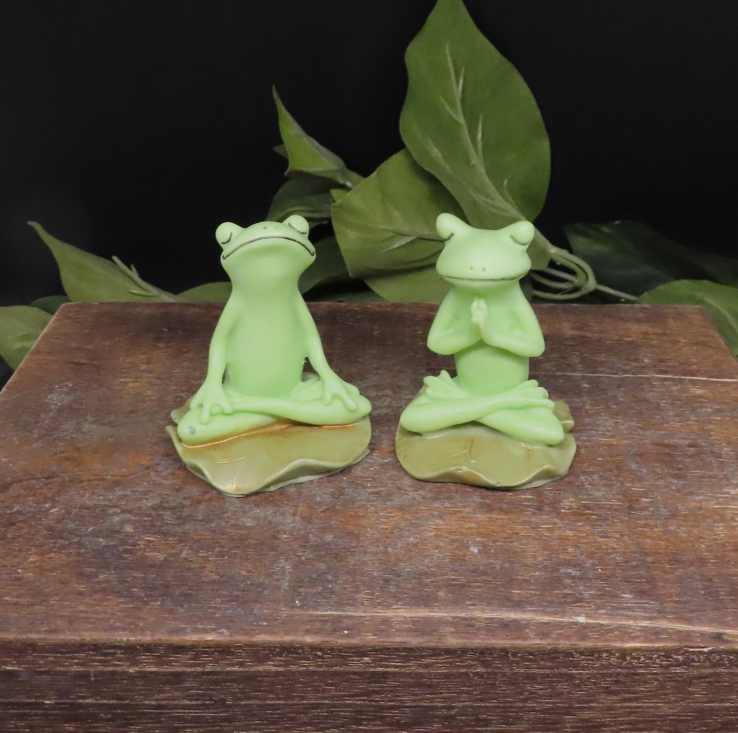 Yoga Frog Soap Set #1
