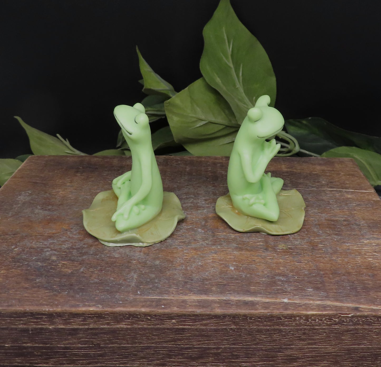 Yoga Frog Soap Set #1