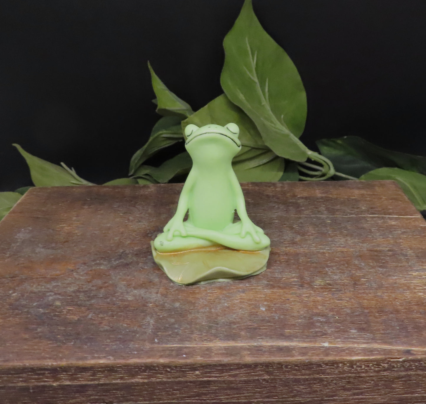 Yoga Frog Soap Set #1