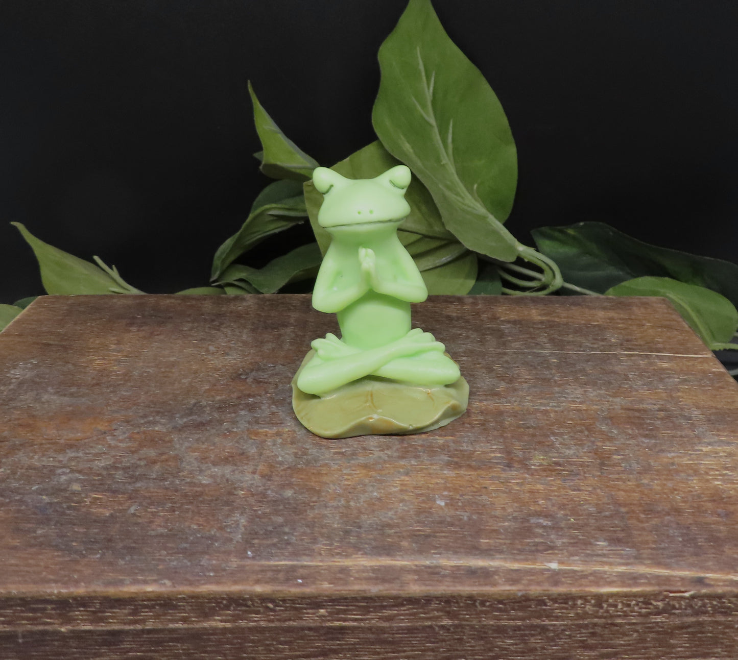 Yoga Frog Soap Set #1