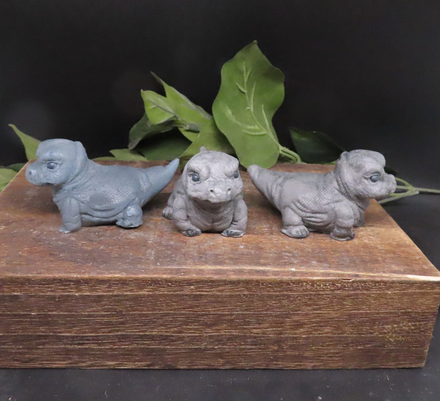 monitor lizard soap bar angles