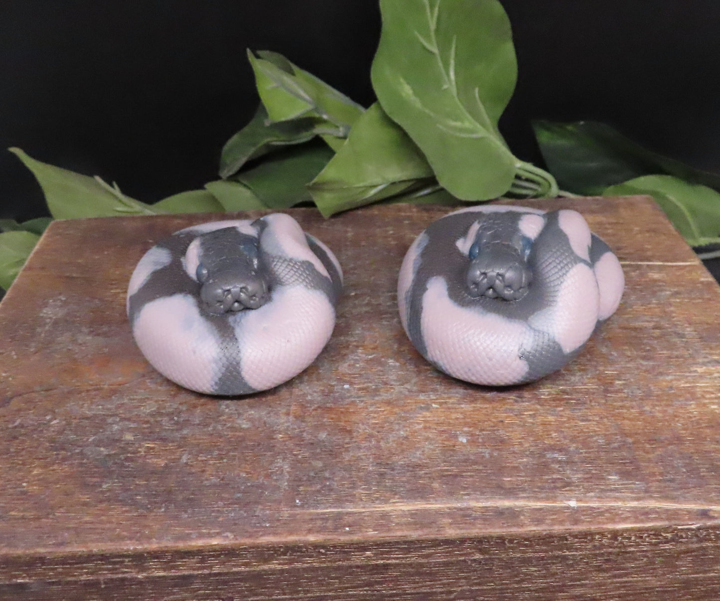 Python goat milk soap bar