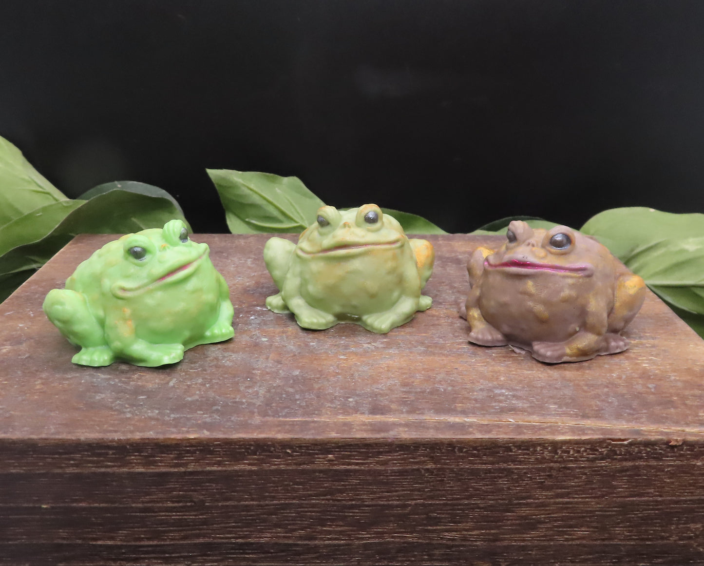 toad goat milk soap