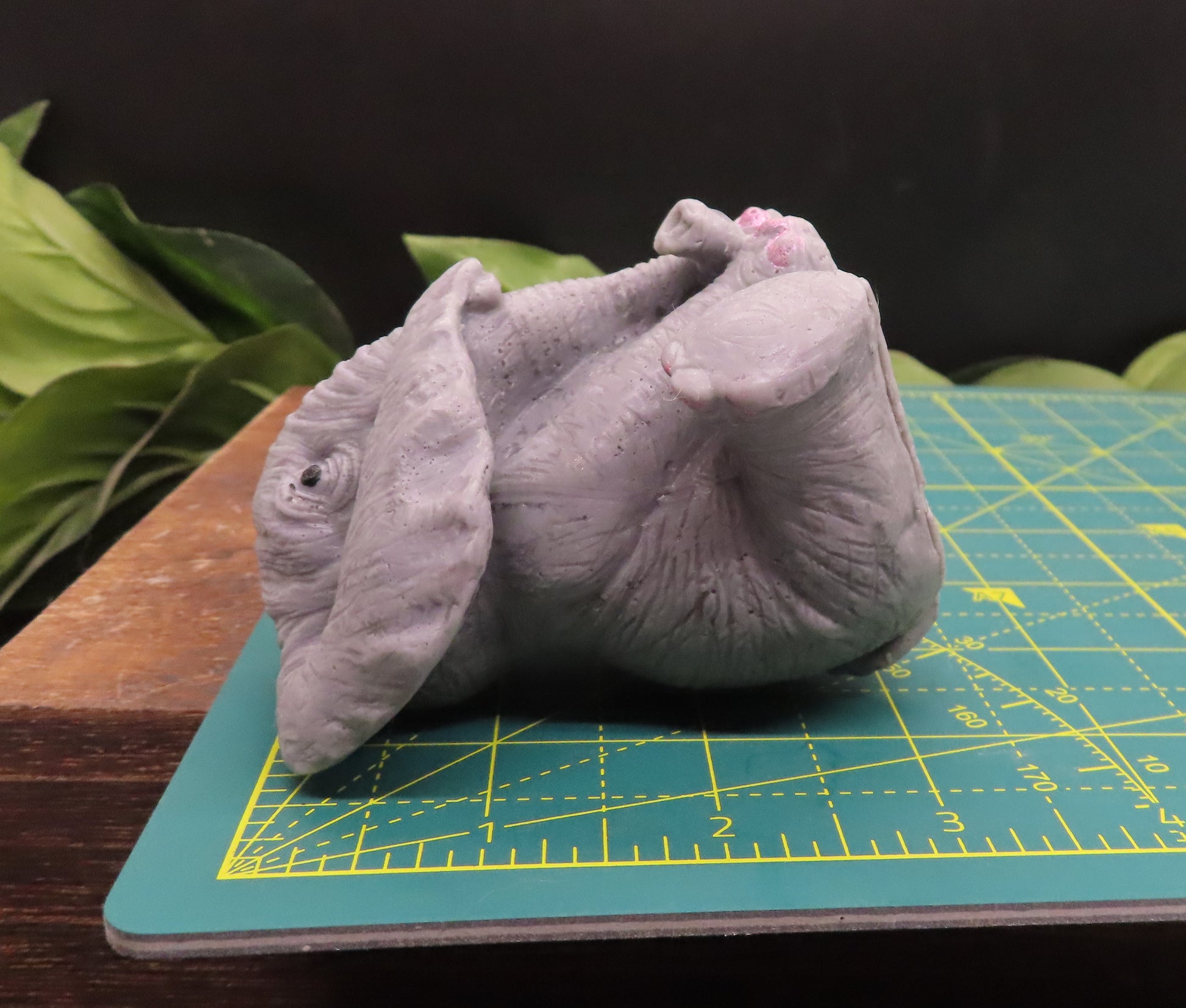 Wisdom elephant height