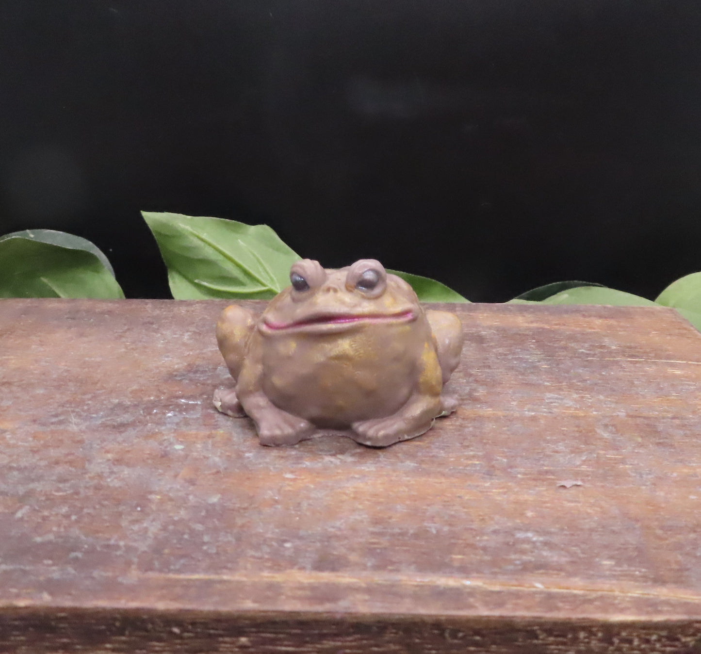 brown toad bath soap