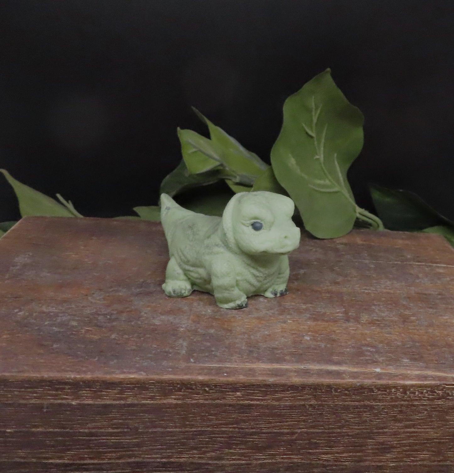 custom monitor lizard soap bar