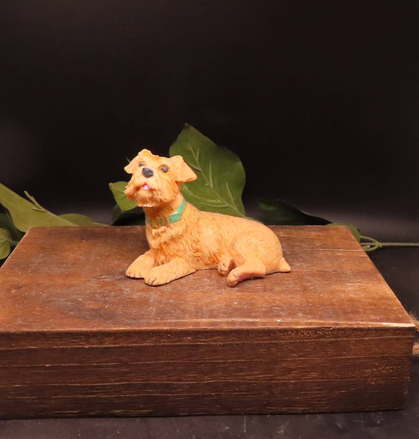 fun dog soap bar