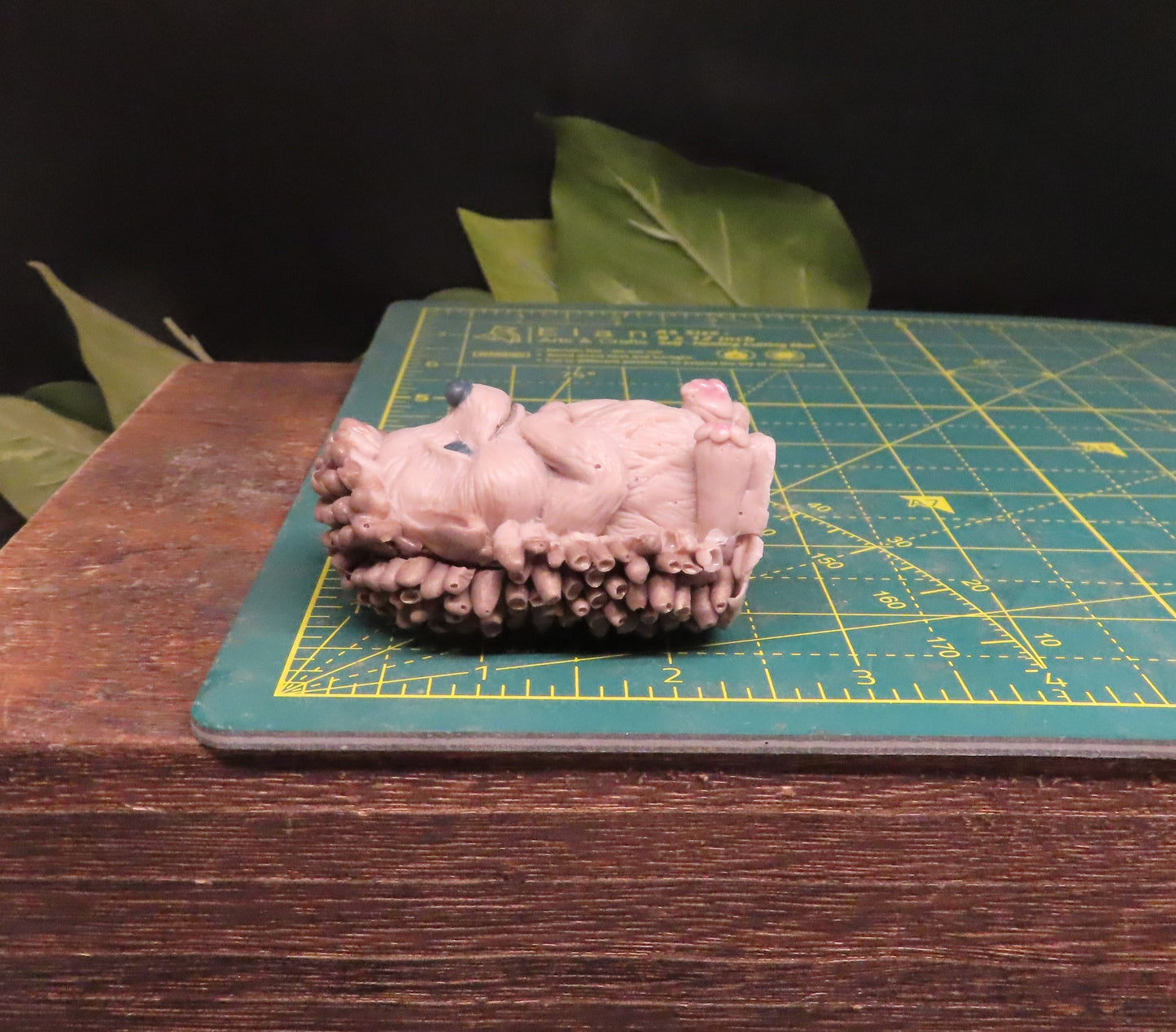 fun mini hedgehog soap