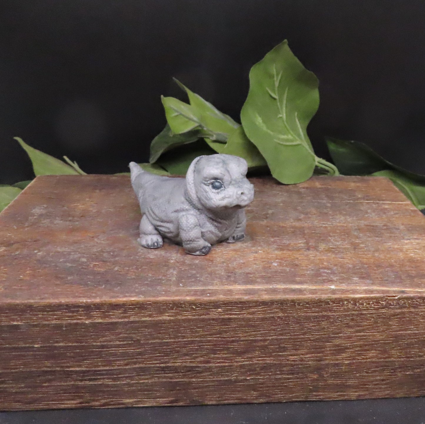 gray montor lizard bath bar