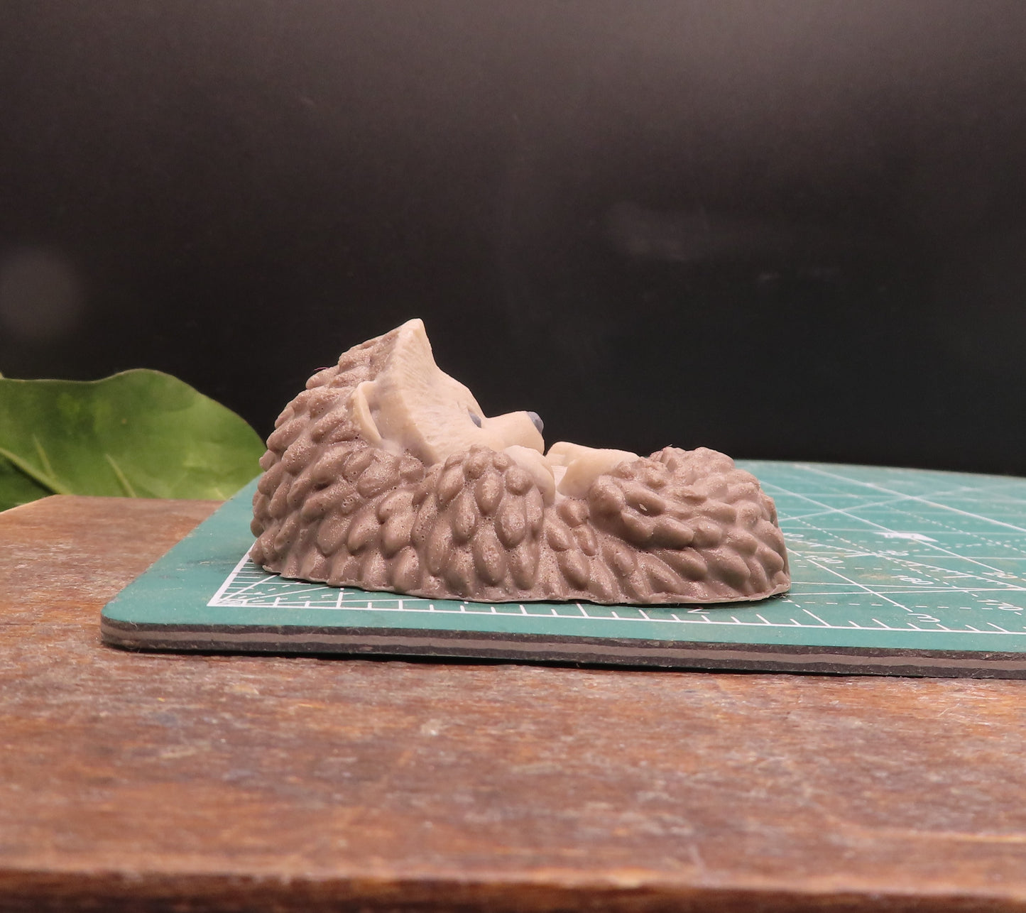 hedgehog fun soap