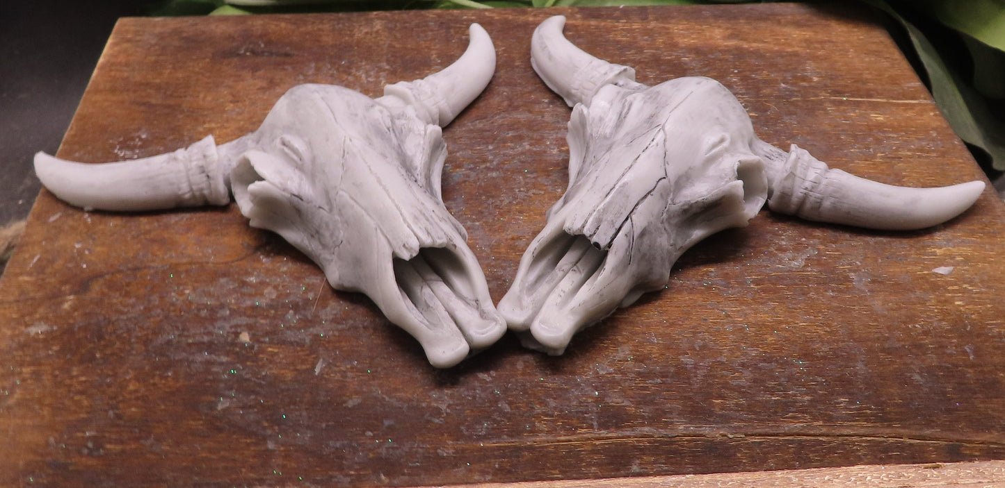 Handmade steer skull goat milk soap. Unique gift
