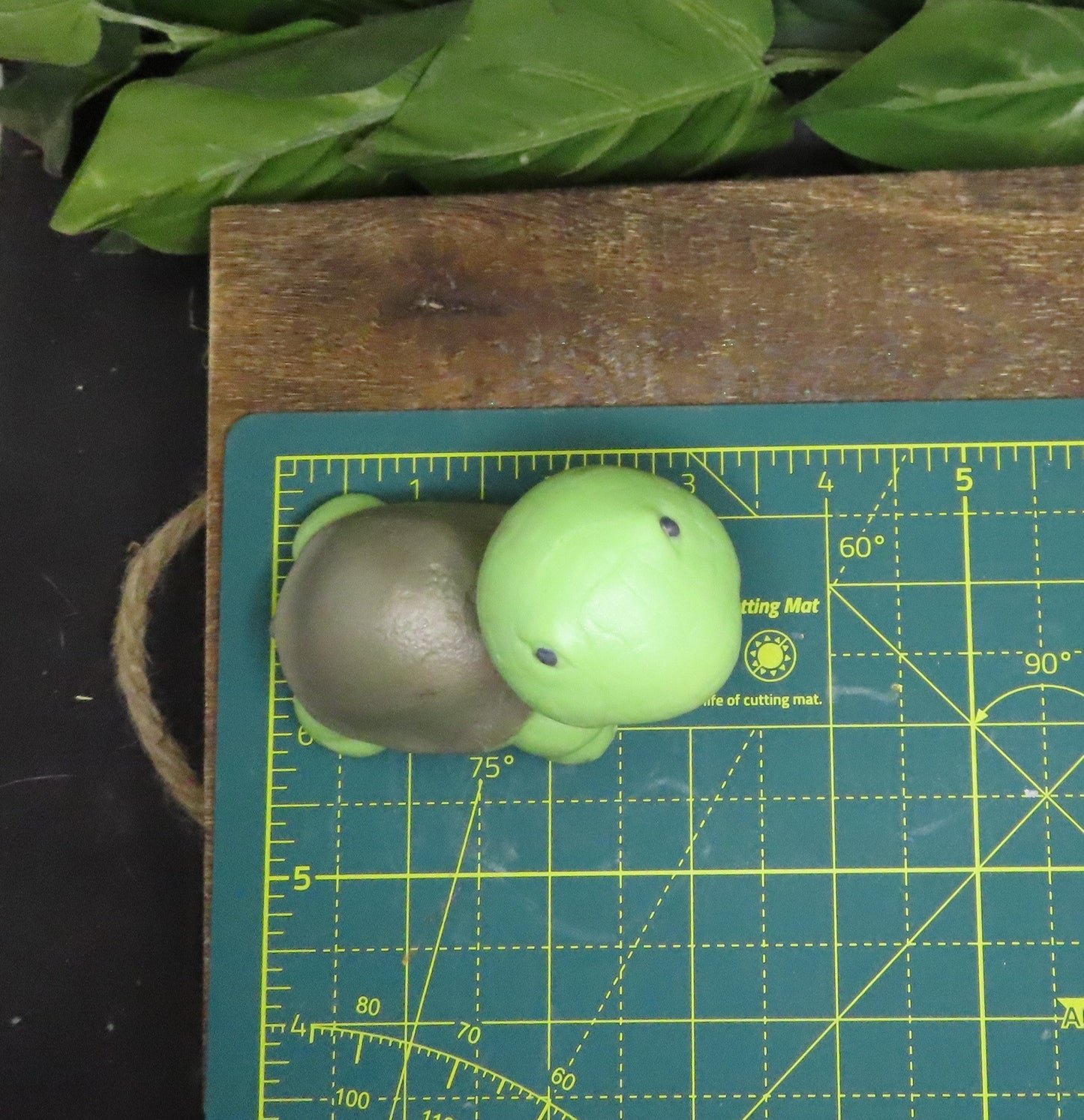 Nice Sized Turtle Tortoise Goat Milk Soap