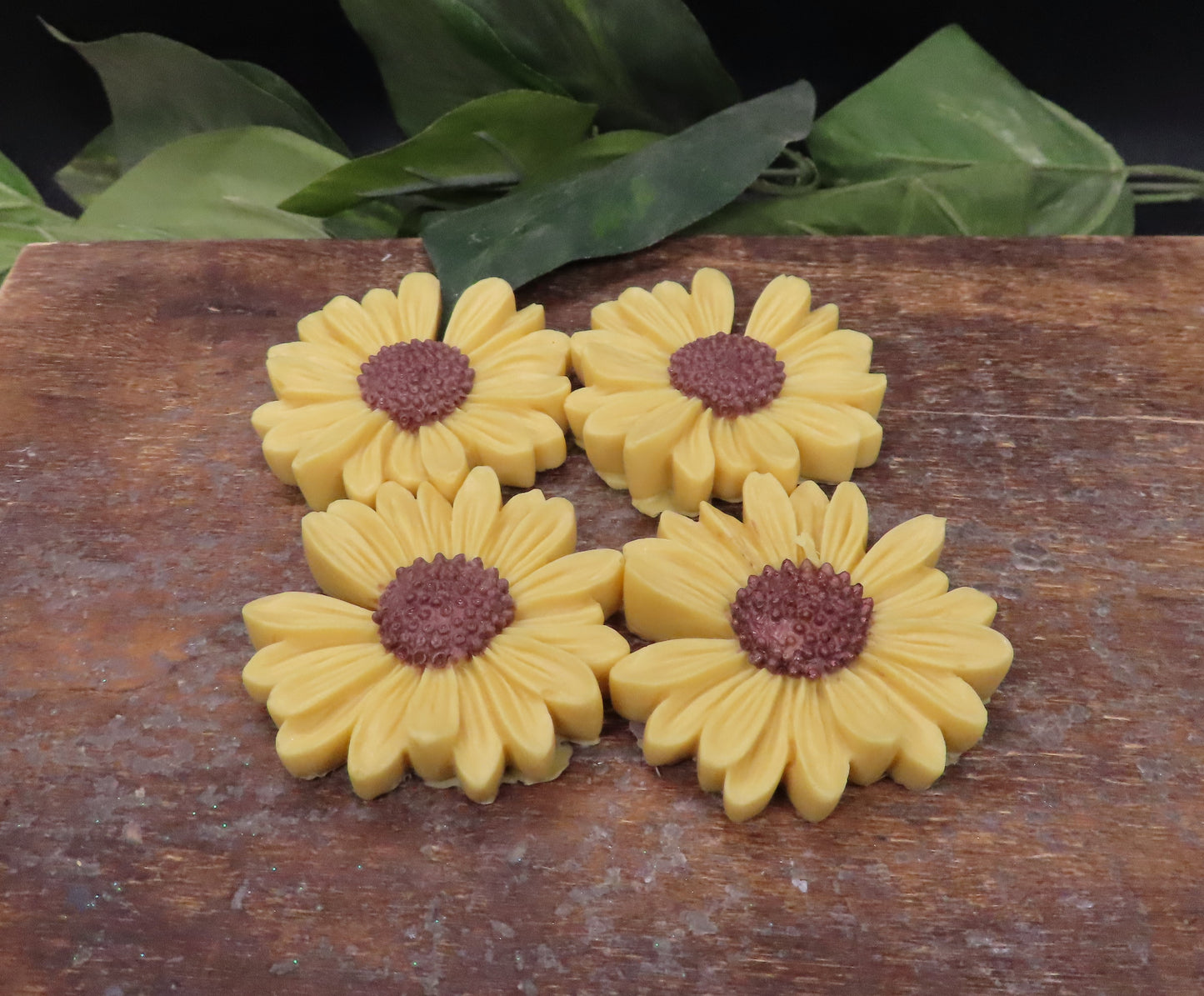 sunflower hand soap set