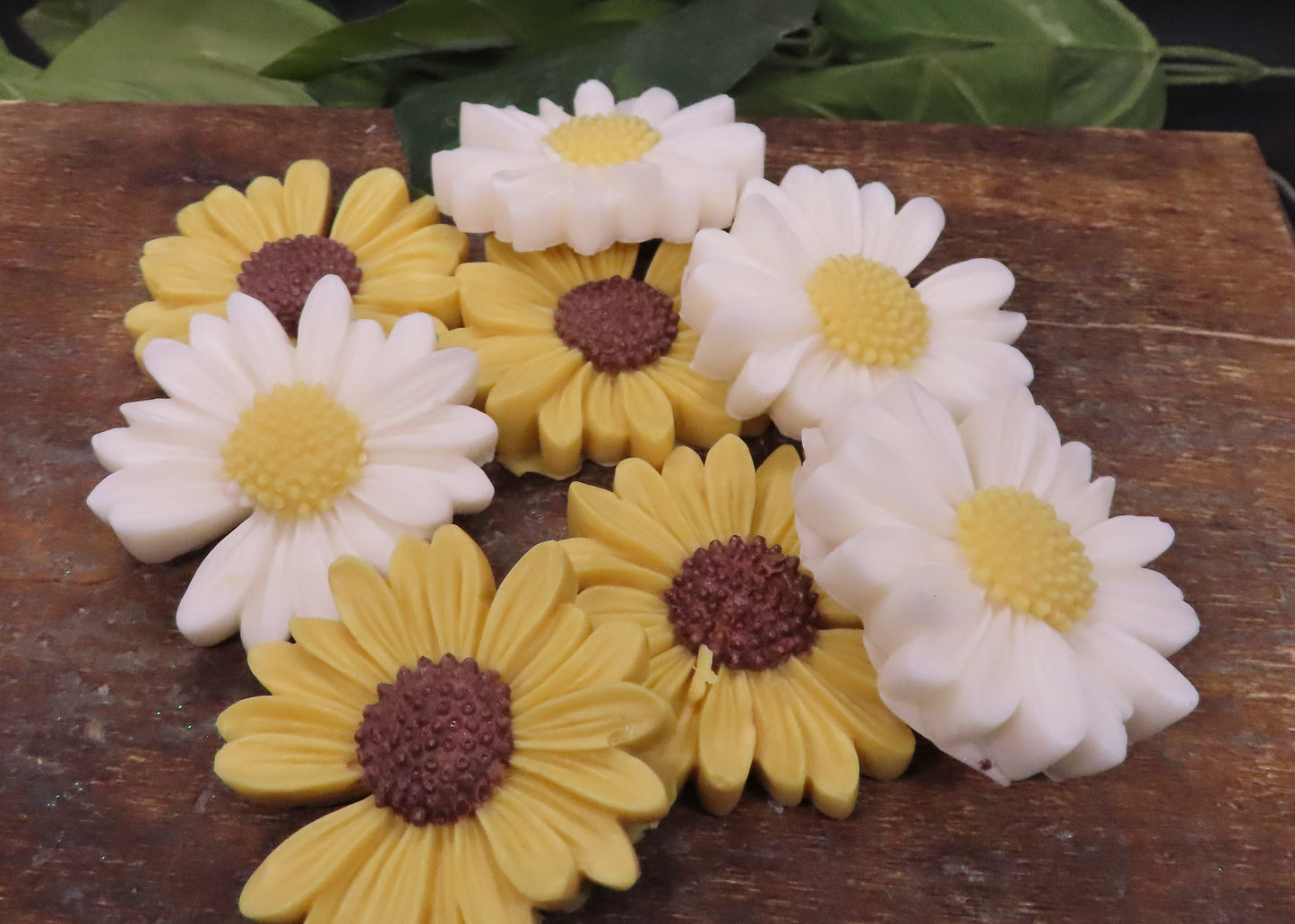 sunflower or daisy goat milk soap set