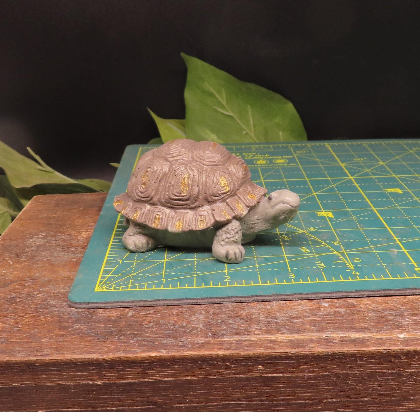 tortoise goat milk soap