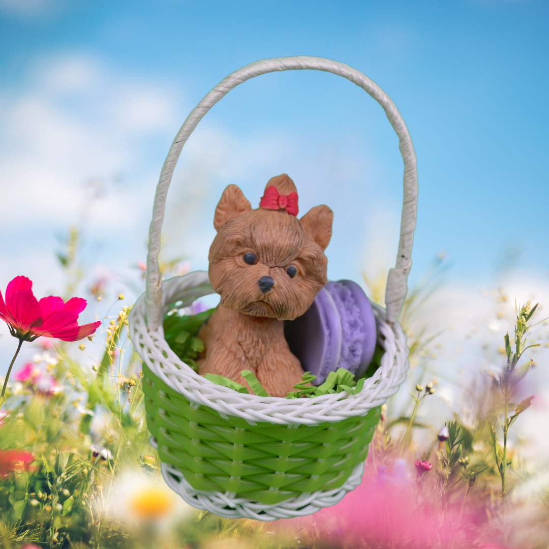 Make Your Own Easter Basket