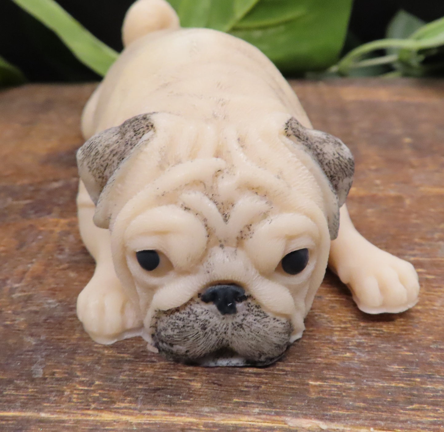 Pug Bath Soap