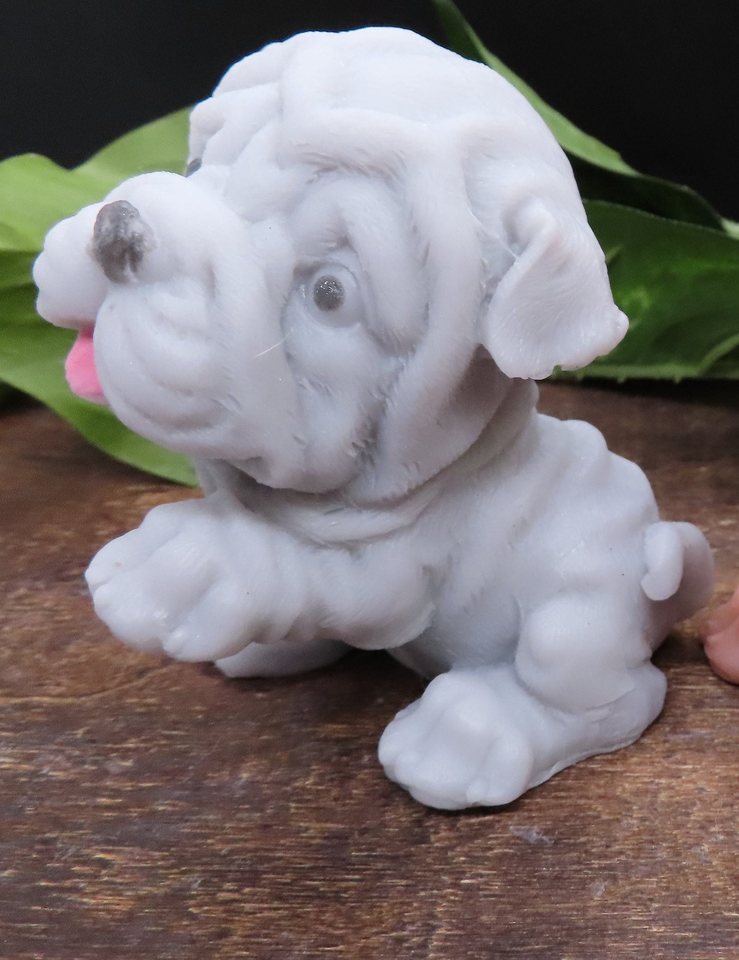 Super Cute Shar Pei Goat Milk Soap