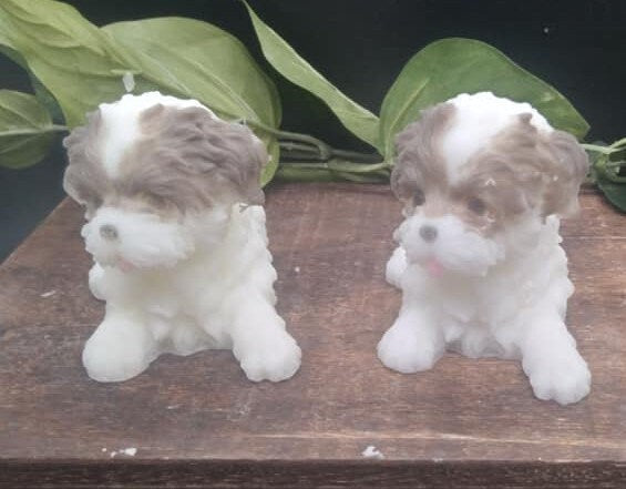 Brown and white shih tzu handmade goat milk soap
