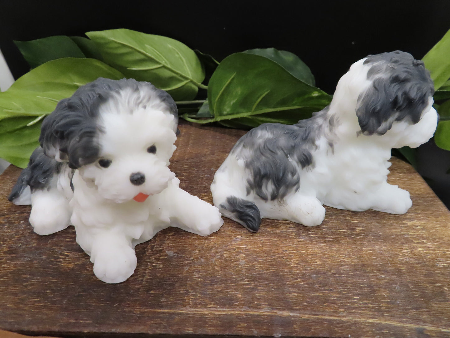 Black and white shih tzu handmade goat milk soap