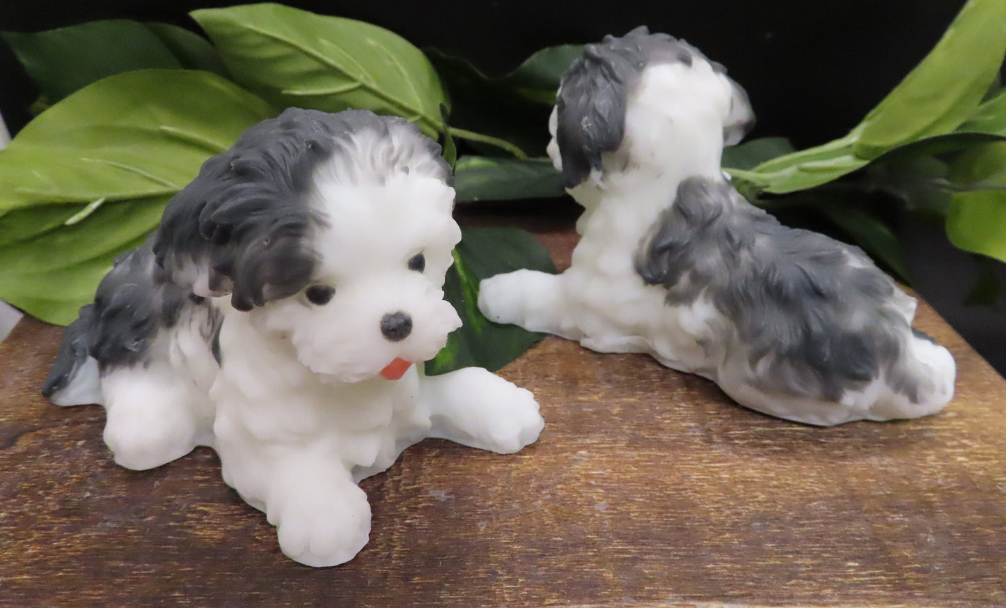 Black and white shih tzu handmade goat milk soap