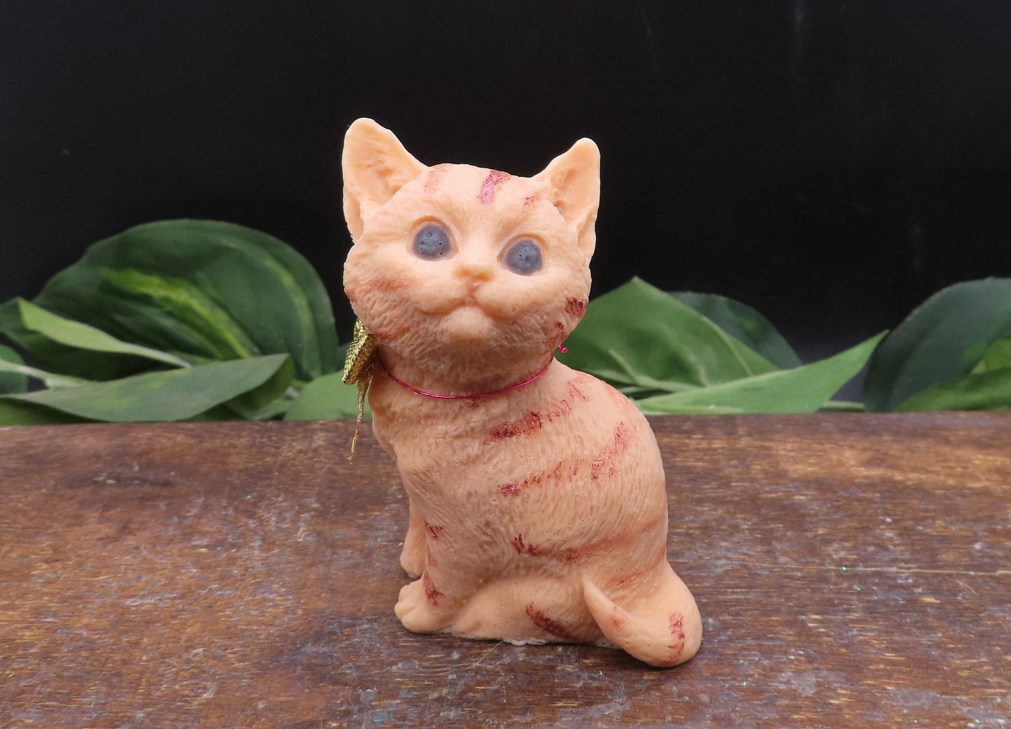 cat soap
