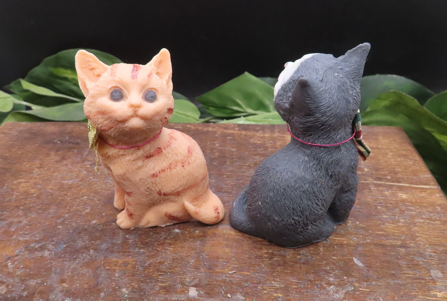 cat gift