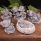 6 piece dragon goat milk soap set