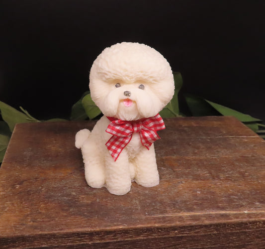 Bargain Bichon