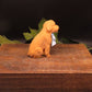 Bernadoodle Soap