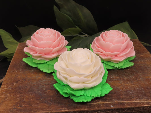 Camelia Soap Set