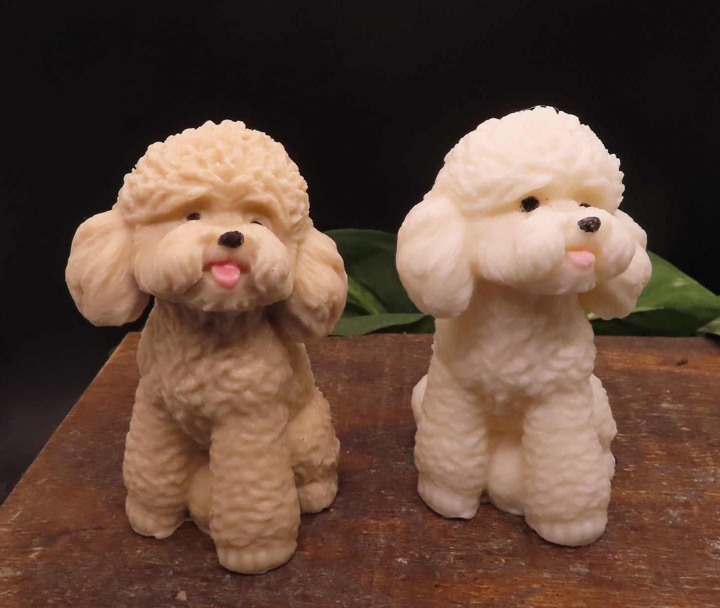 Poodle Soap