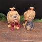 Absolutely adorable Yorkshire Terrier / Maltese /  FunFroofy Dog Goat Milk Soap!