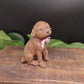 Sitting Labrador Retriever Goat Milk Soap