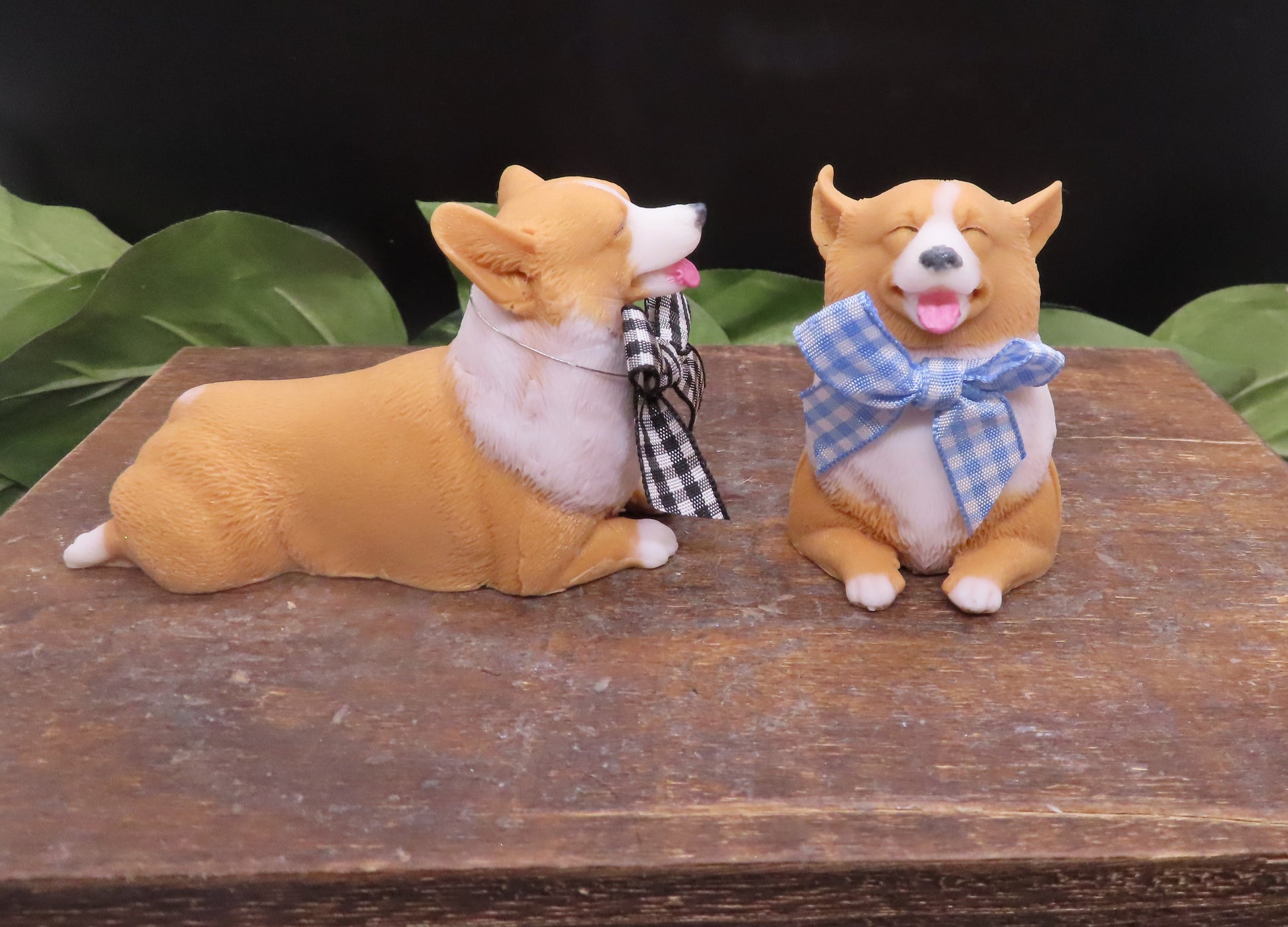 Corgi Gift