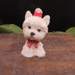 Maltese Dog Gift